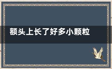 额头上长了好多小颗粒 额头上长互交船固均教印赵含了很多小颗粒
